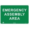 Pinnacle 300 x 200mm Poly Emergency Assembly Area Sign