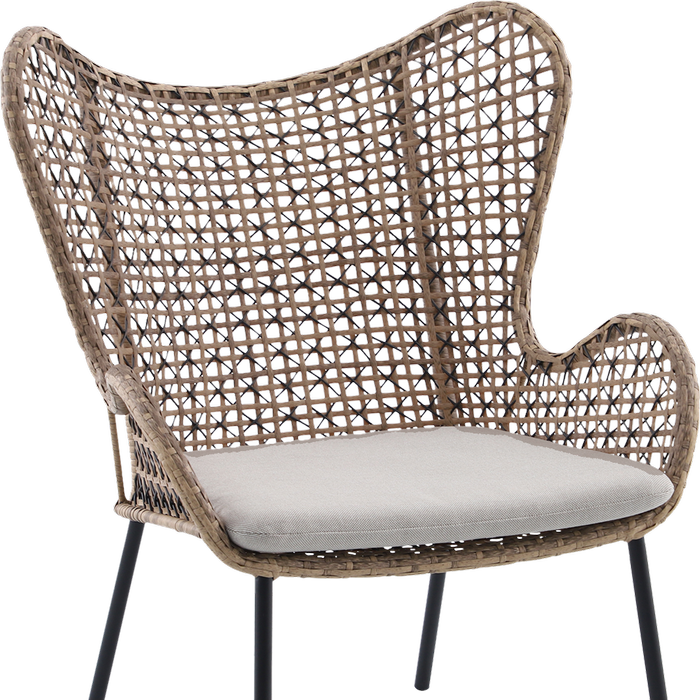Mimosa Wicker Butterfly Chair - Bunnings Australia