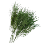 Blooms Of Joy 70cm Green Tiki Fern Foliage