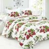 100% Cotton Coverlet Set Hummingbird Multi - Queen