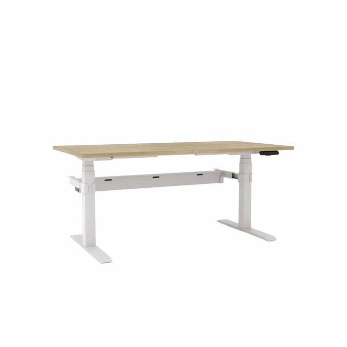 Olg Agile Motion Plus Square Leg White Frame New Oak Ravine Top With Cable Management Scallop Height Adjusta L1800mm X W750mm