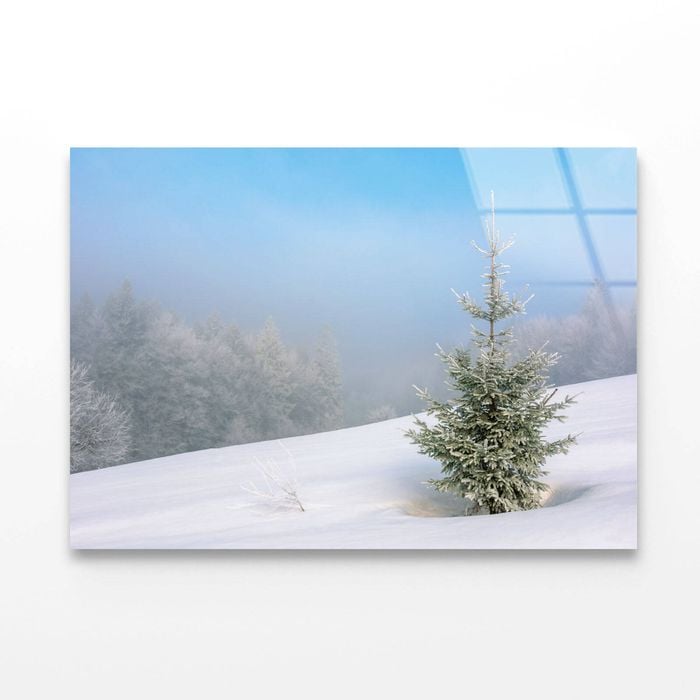 Little Fir Tree  Print 100% Australian Made 150 x 100cm  (Acrylic)