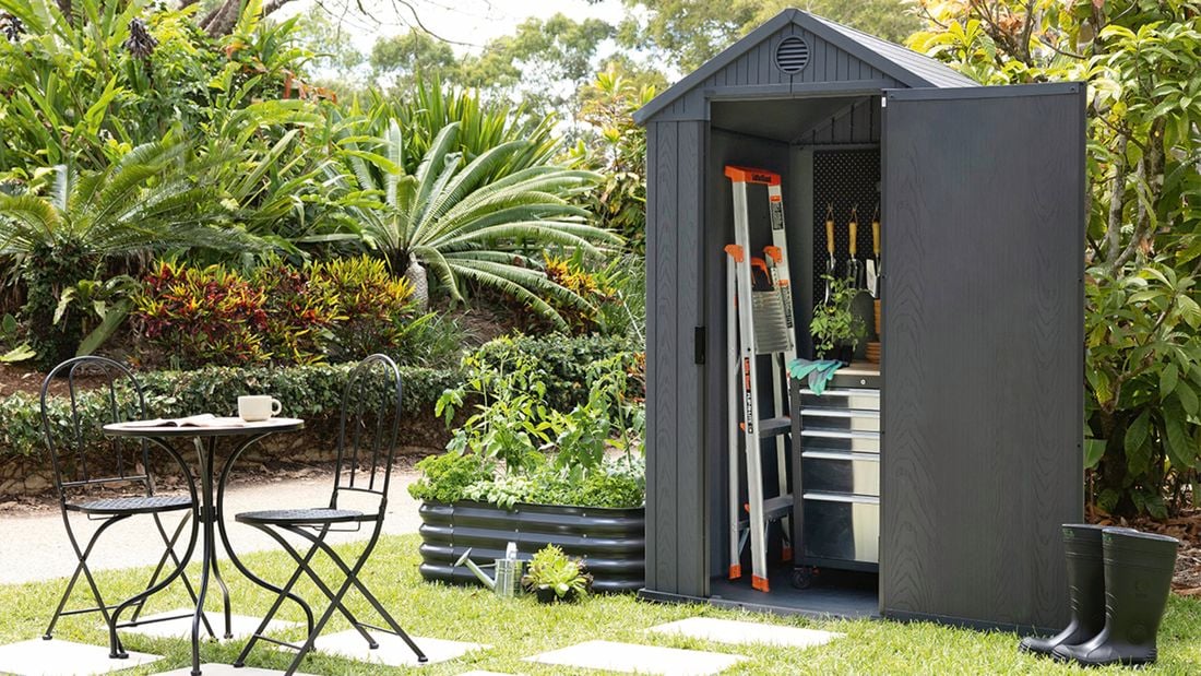 Open grey garden shed in a backyard, showing two ladders, a metal tool chest, and garden tools hanging on the back wall, with plants and gloves inside