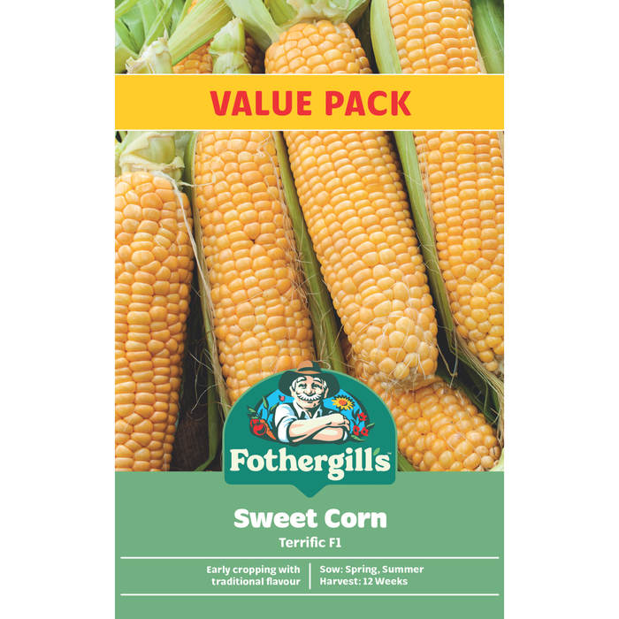 Fothergill's Sweet Corn Terrific F1 Seeds - Value Pack