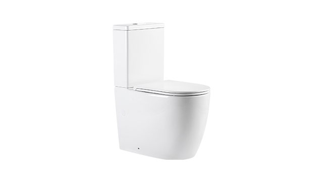 Bento - imageTop - Modella Turbo