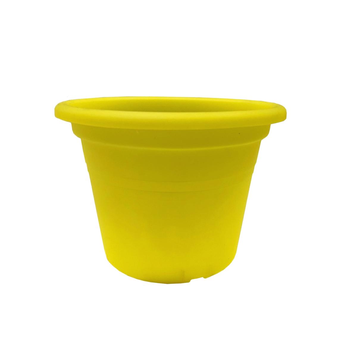 Eden 15cm Transparent Yellow Round Cylinder Plastic Pot - Bunnings ...