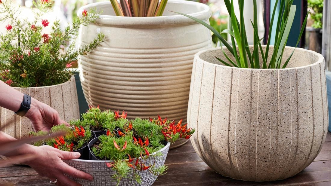 Four pots with plants in them outside