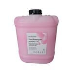 BioEnzymes Shampoo & Conditioner Strawberry 2 in 1 20lt