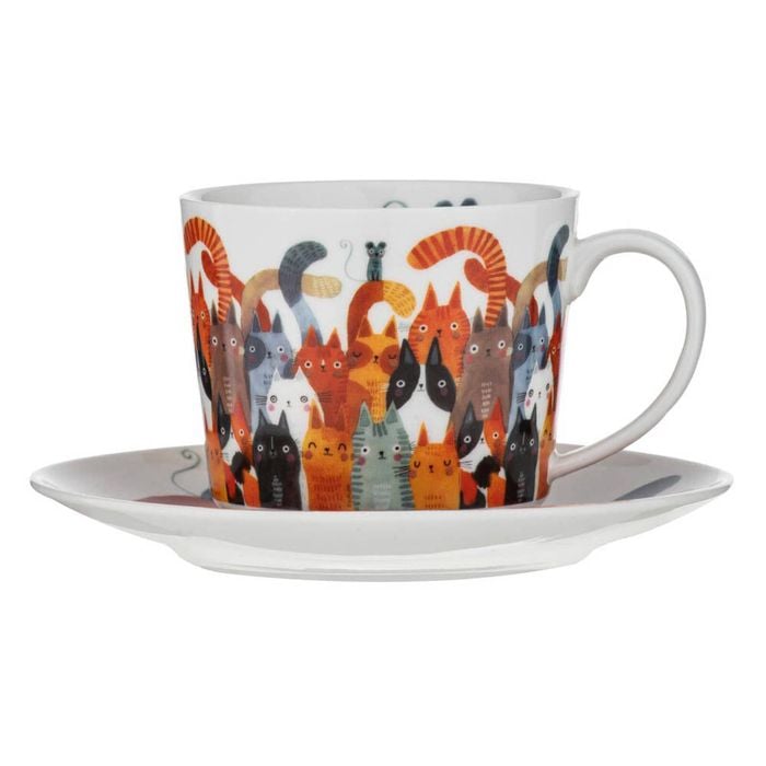 Ashdene Quirky Cats Cup & Saucer 280ml 15x15x7.5cm  - Photobomb