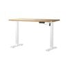Oikiture Electric Standing Desk Single Motor White Frame 120CM OAK Tabletop