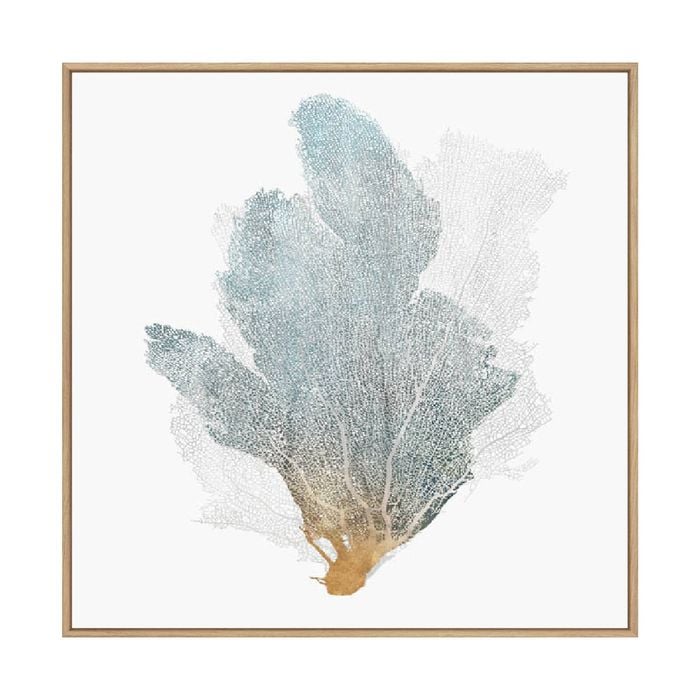 Artey | Delicate Coral II - Framed Canvas - Natural Frame - 140 x 140cm