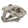 Urs Ornament Sabre Tooth Skull Reptile Enclosure Accessory