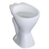 Caroma Concorde Right Skew Trap Toilet Pan