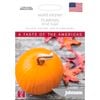 Johnsons Pumpkin Small Sugar Seeds
