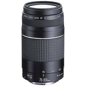 Canon EF 75-300mm f4-5.6 Telephoto Lens
