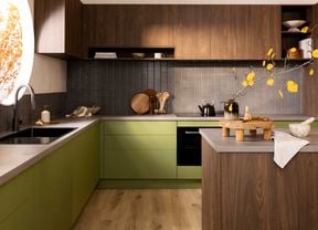 Dark wood and green kitchen with concrete benchtops