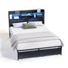 Advwin Queen Size Bed Frame with 2 Drawers LED Light and Charging Station Black