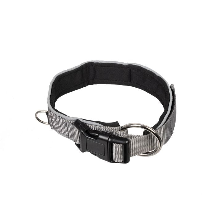 Happy Tails Large Explorer Dog Collar