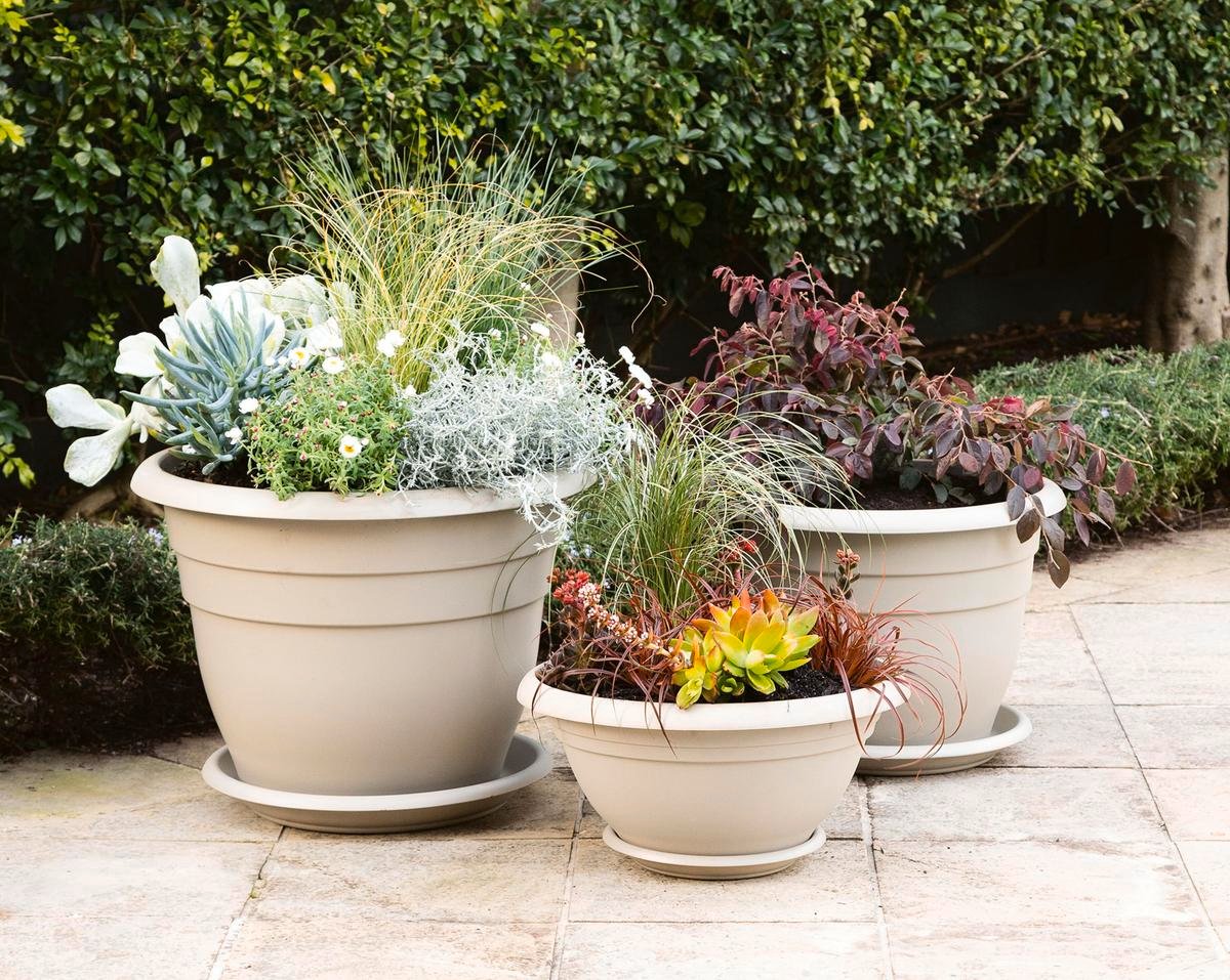 How To Master The Art Of Styling Potted Plants - Bunnings Australia