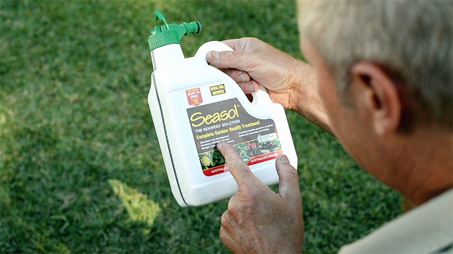 Man reading the label on a bottle of Seasol