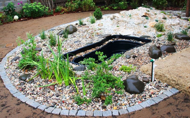 Stone garden with small plants
