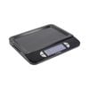 Taylor Dual Usb Rechargeable Digital Scale