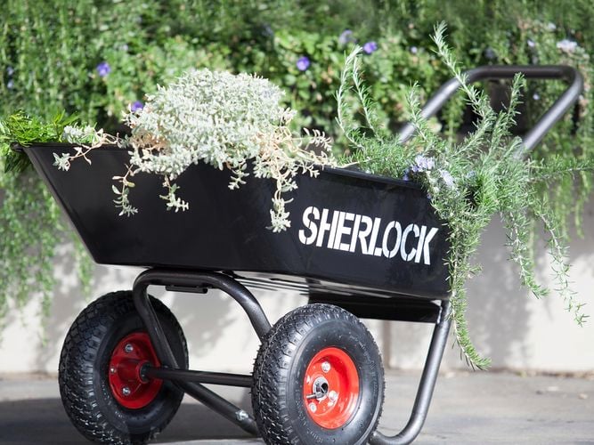 Cart loaded with greenlife