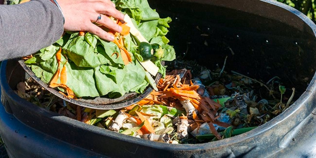 Person scraping organic scraps into compost bin