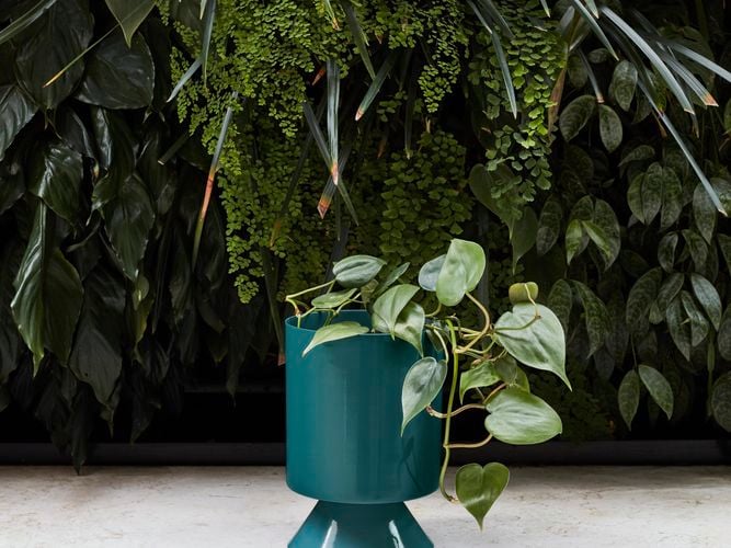 pot range