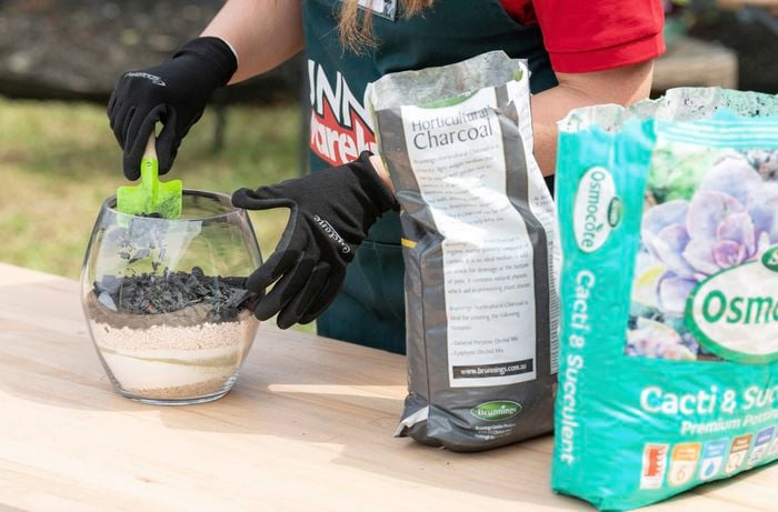 Person scooping horticultural charcoal into see-through stone pot.