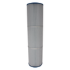 True Blue Pool Replacement Cartridge CF100