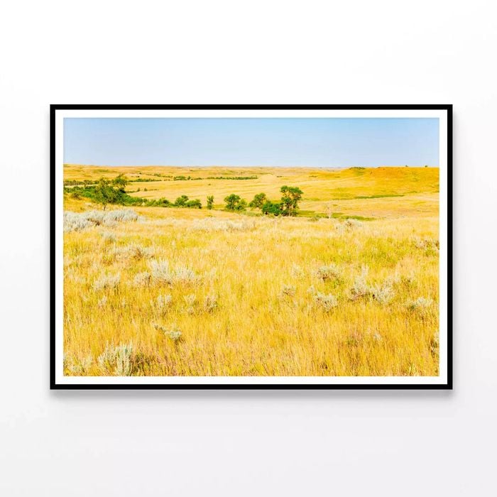 Grassland in North Dakota  Print 100% Australian Made 120x90cm  (Poster)