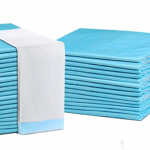 400pcs Puppy Dog Pet Training Pads Cat Toilet 60 x 60cm Super Absorbent Indoor Disposable Bunnings Australia