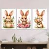 3pcs Charming Bunny Cute Rabbit Paintings Print 100% Australian Made 3 x 40x60cm (Metal Print)