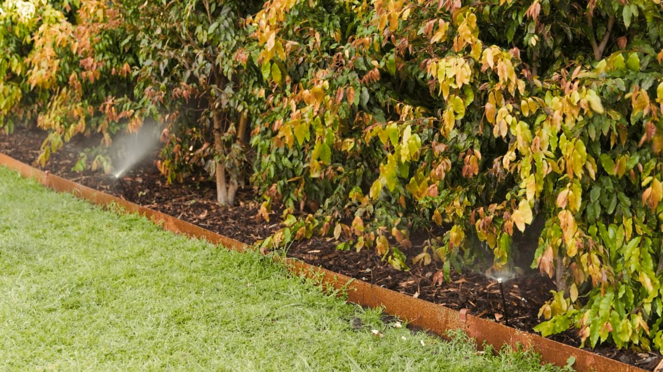 A nice garden with a water sprinkler.