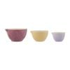 Mason Cash The Meadow Set Of 3 Measuring Cups