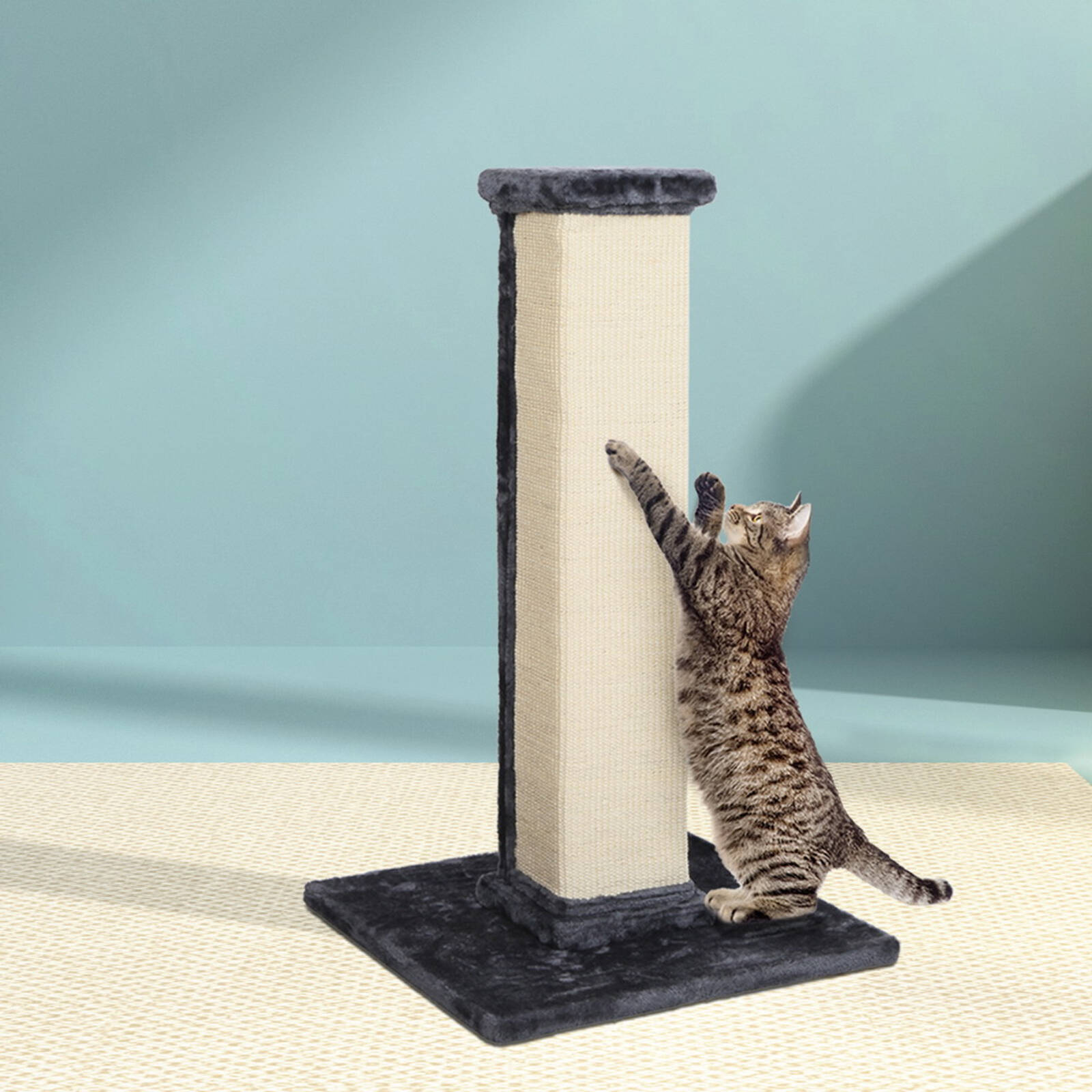 Bunnings cat scratching post best sale