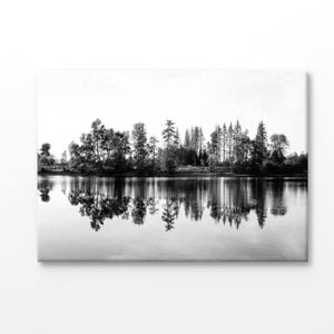 Trees near Lake B&W Scenery View Print 100% Australian Made 90x60cm (Stretched Canvas)