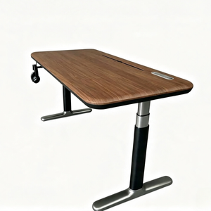 Auslittle High End 1600x800 Dual Motor Electric Sit Stand Desk With Drawer