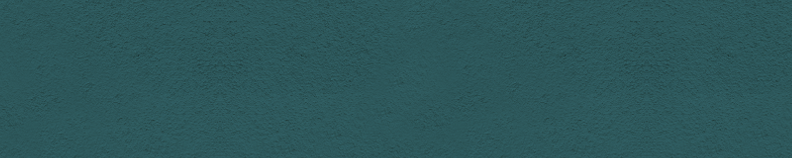 Background banner image displaying Wagner product.