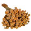 Blooms Of Joy 45cm Orange Botao Flowers