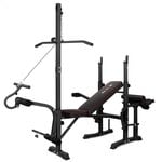 BLACK LORD 14in1 Weight Bench