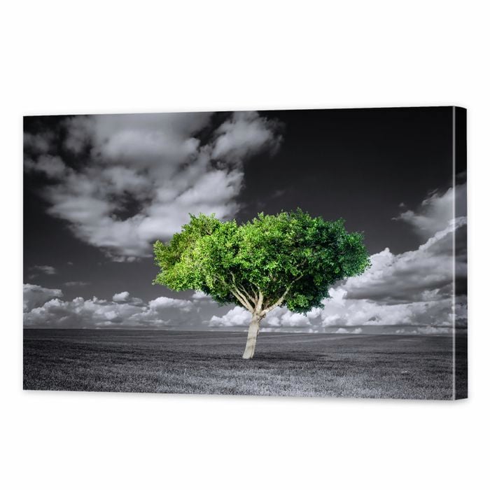 The Green Tree | 120 x 80cm Stretched Canvas Print