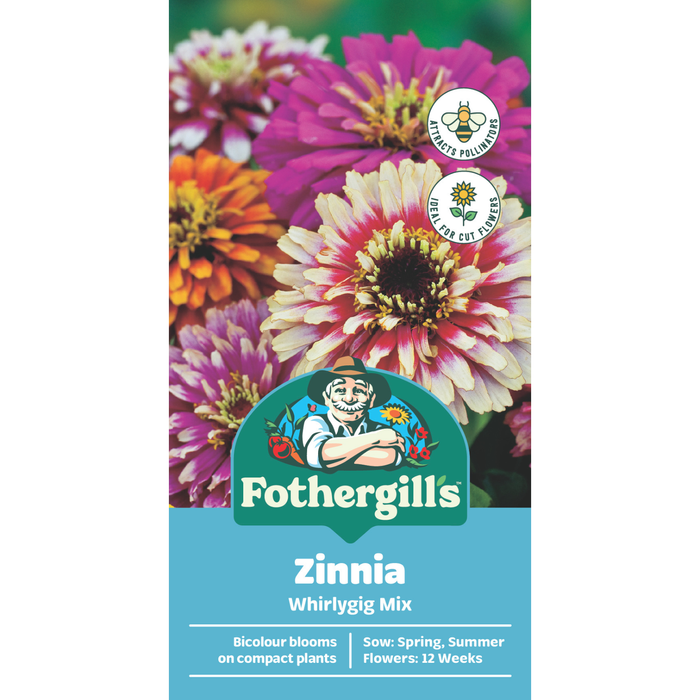 Fothergill's Zinnia Whirlygig Mixed Seeds