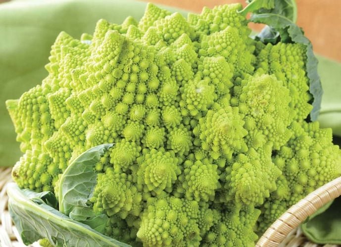 Close up of brocolli romanesco