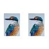 2PK Ashdene Cotton 70x50cm Modern Birds Kingfisher Kitchen Towel