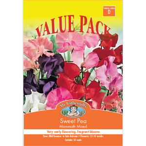 Mr Fothergill's Mammoth Sweet Pea Value Seed Pack
