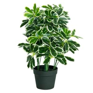 60cm Artificial Variegated Umbrella Plant
