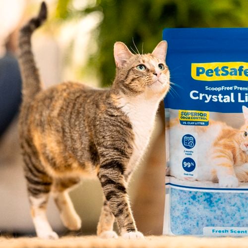 Petsafe- Carousel 5- Brand page