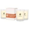 Nicola Spring 3x 160g Soy Wax Scented Candles - Pumpkin Spice - 28 Hour Burn Time Relaxation Aromatherapy Gift Ready Jar Candle